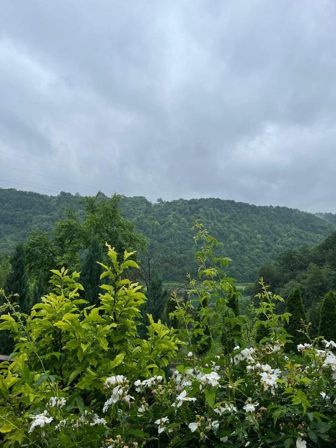 Villa Nature Bihać 외부 사진
