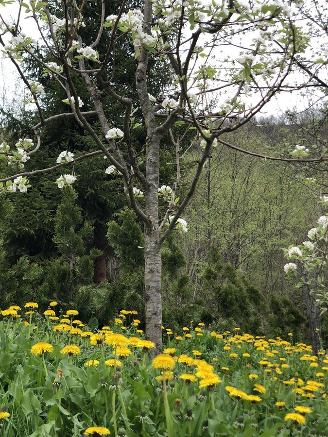 Villa Nature Bihać 외부 사진